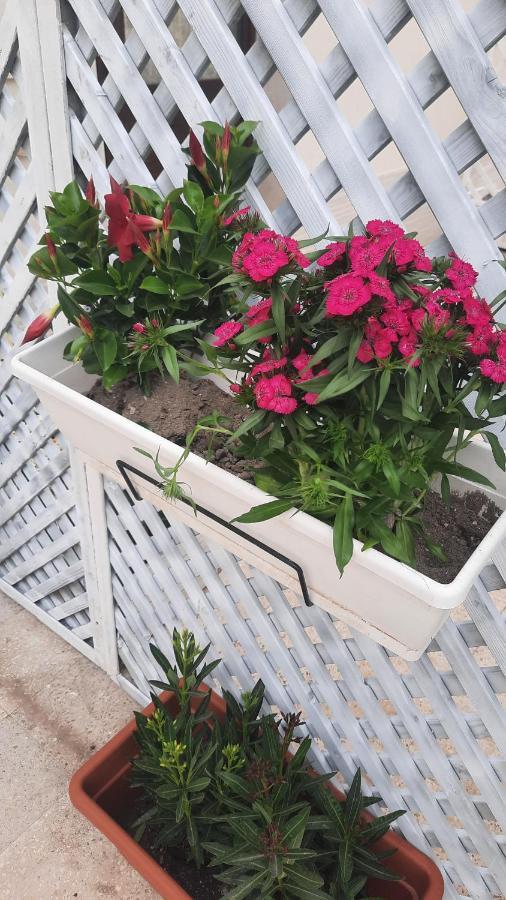 Casacecilia Relax Hotel Syracuse Luaran gambar